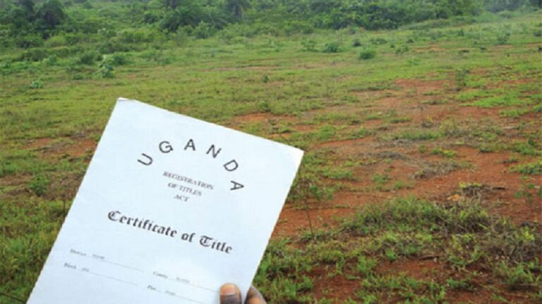 Photo of the Ugandan Land title document