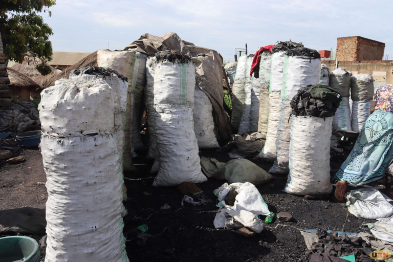 Bags of Charcoal for Sale in Gulu.