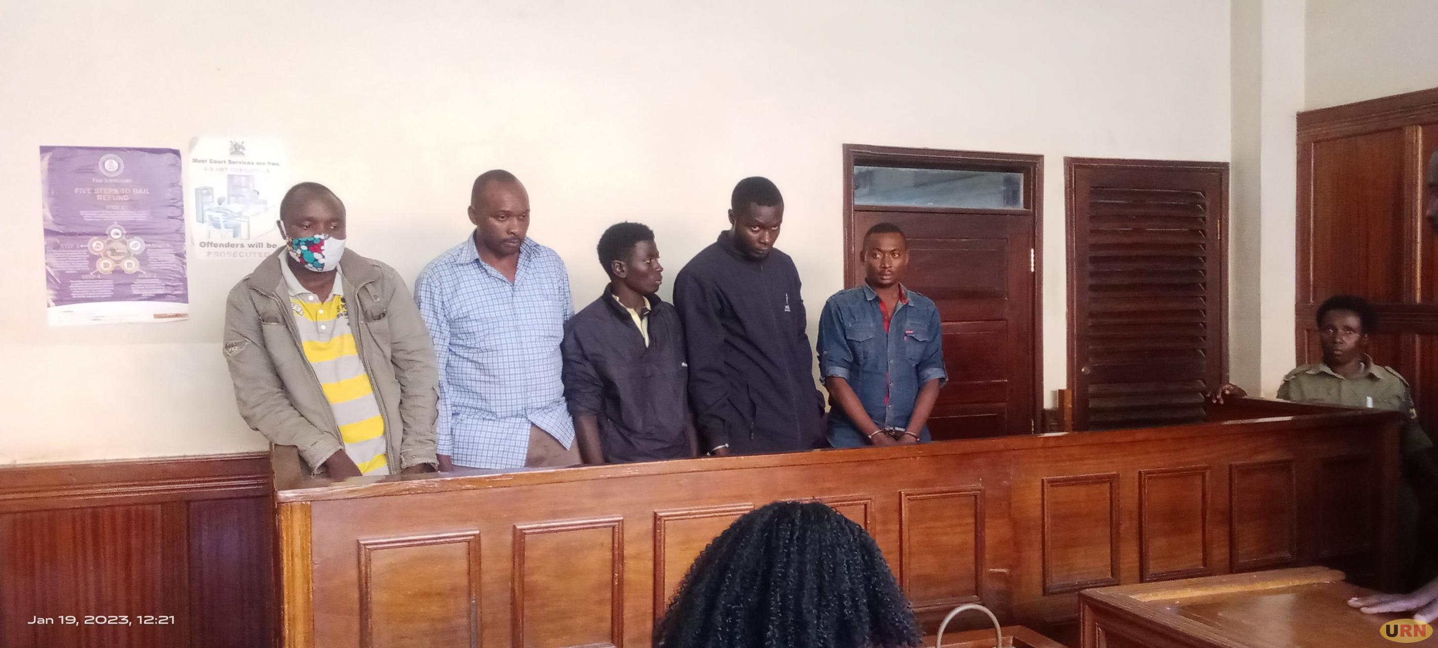 Suspected Electricity Vandals